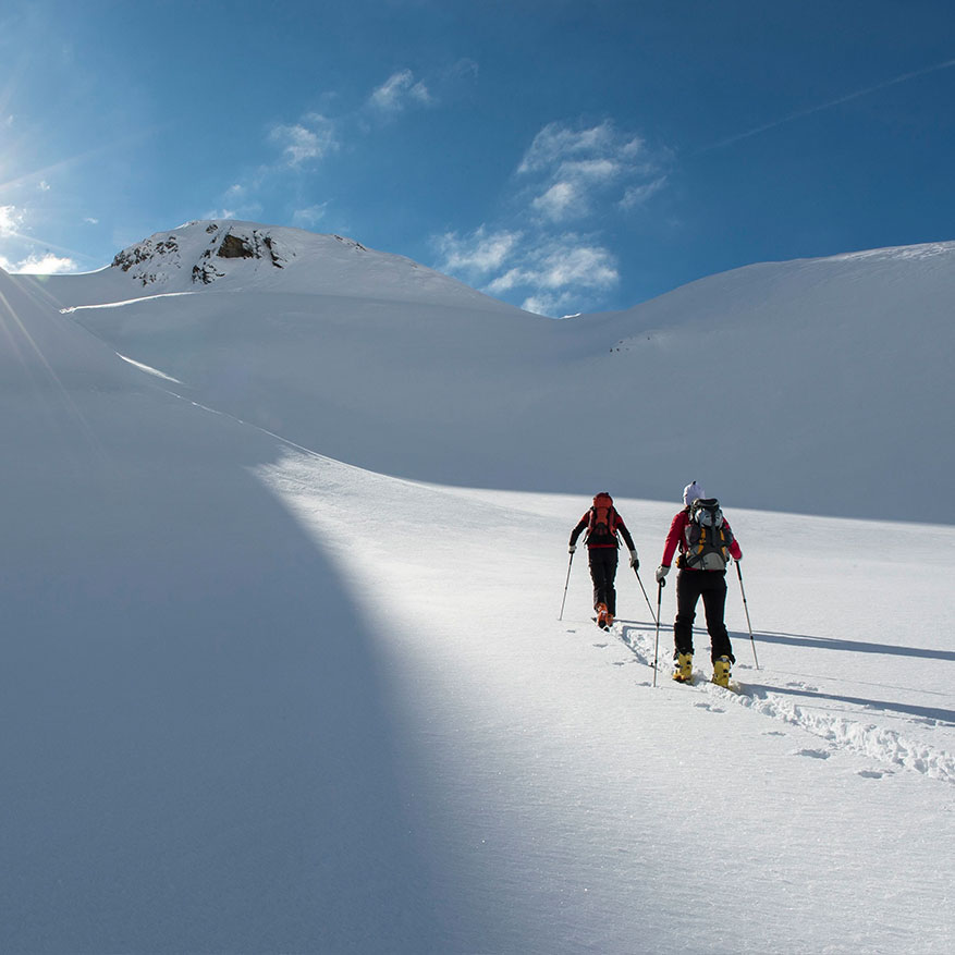 SkiTouring & Freeride